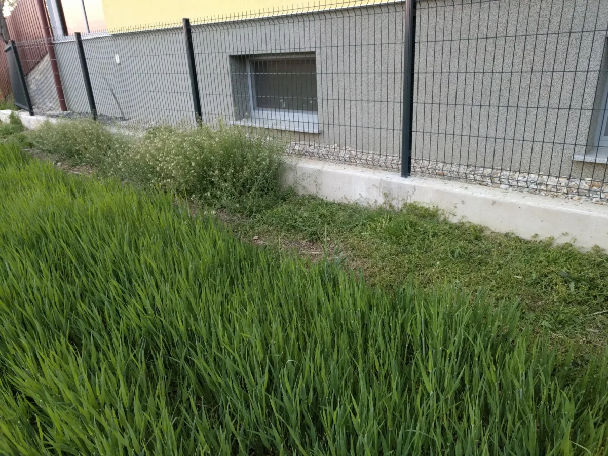 Pokošena trava ob ograji – rezultat prve košnje z novo baterijo